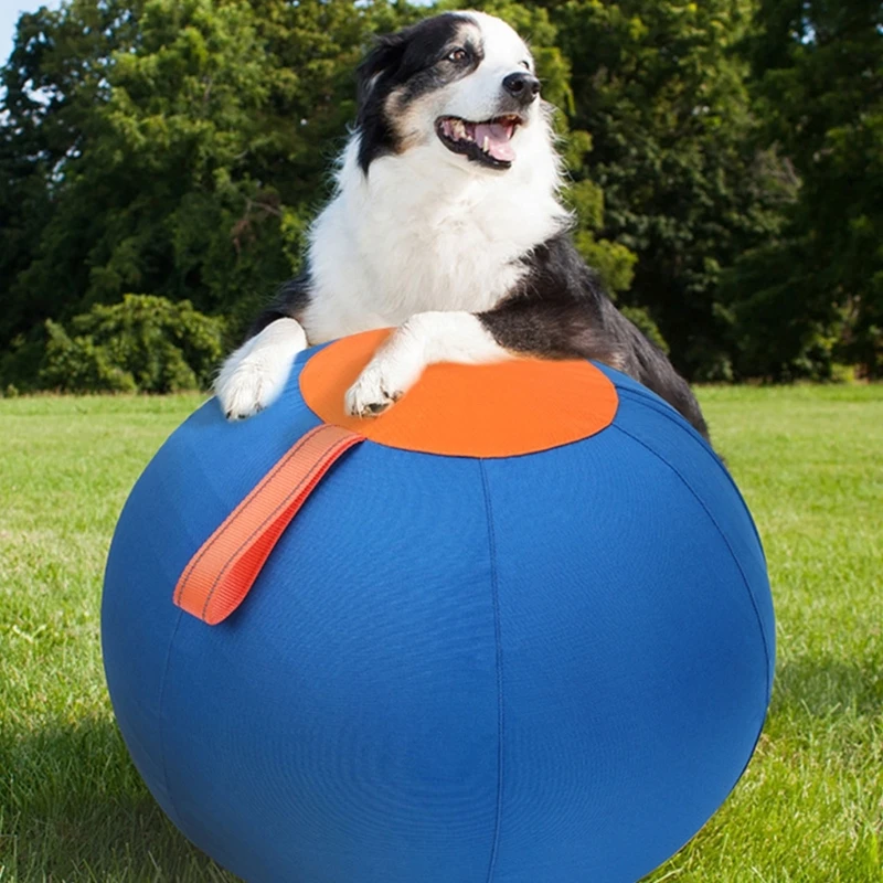 Большая сфера пасты для собак История Идеально подходит для Backyard Beach Outdoor Activity D2rd
Большая сфера пасты для собак История Идеально подходит для Backyard Beach Outdoor Activity D2rd