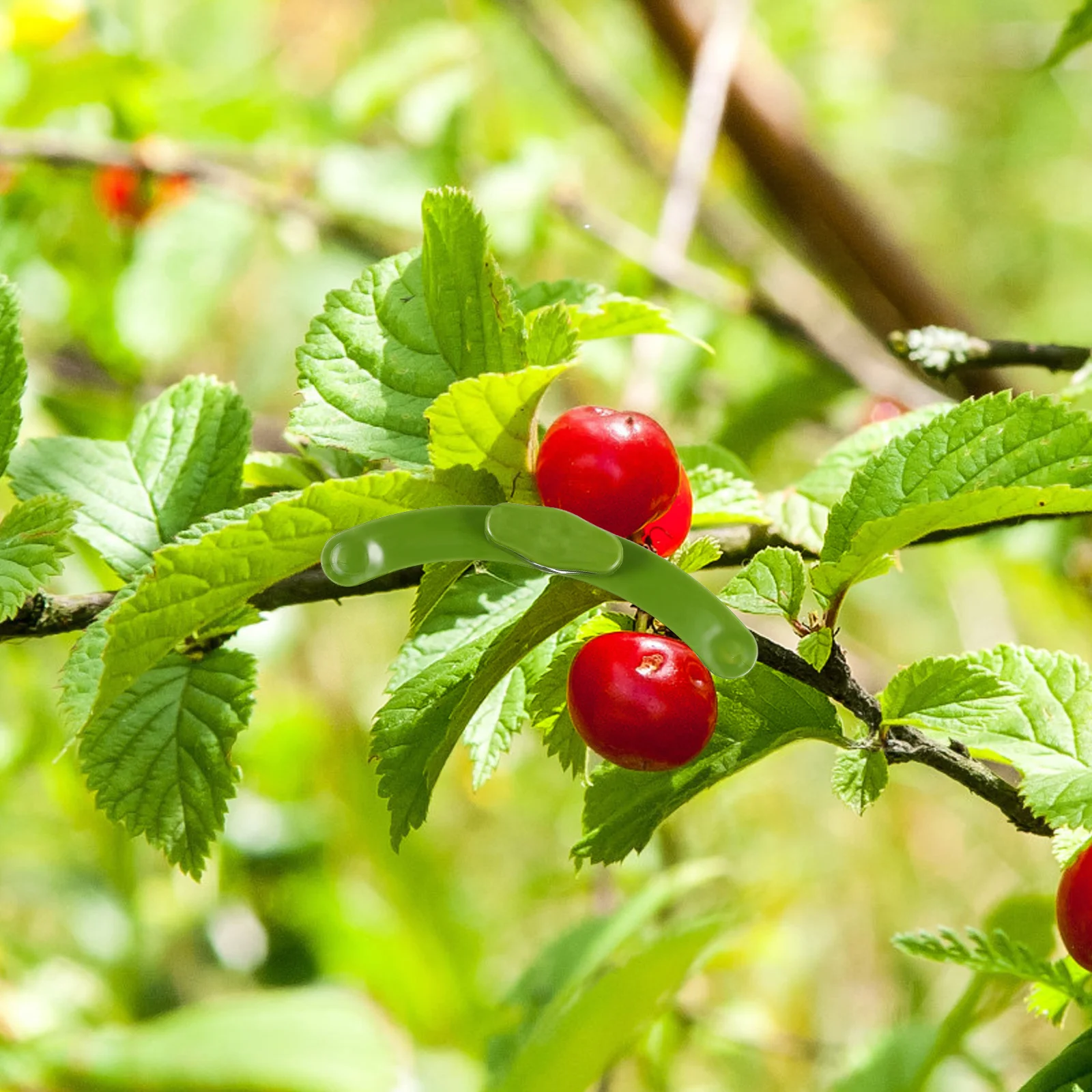 5 pcs Plant Branch Bender Adjustable Plastic Gardening Twig Clips For Tree Training Flowering Support Reusable Branches Fixing
5 pcs Plant Branch Bender Adjustable Plastic Gardening Twig Clips For Tree Training Flowering Support Reusable Branches Fixing