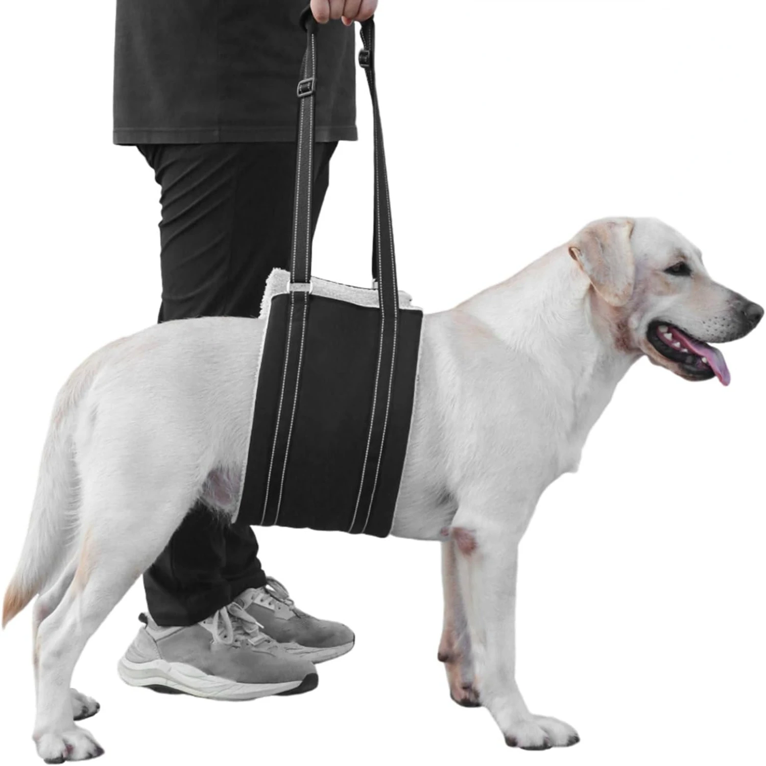 Comfortable and Portable Dog Lift Harness for Enhanced Quality of Life - Perfect Hip Support Sling for Elderly Dogs with Mobilit
Comfortable and Portable Dog Lift Harness for Enhanced Quality of Life - Perfect Hip Support Sling for Elderly Dogs with Mobilit
