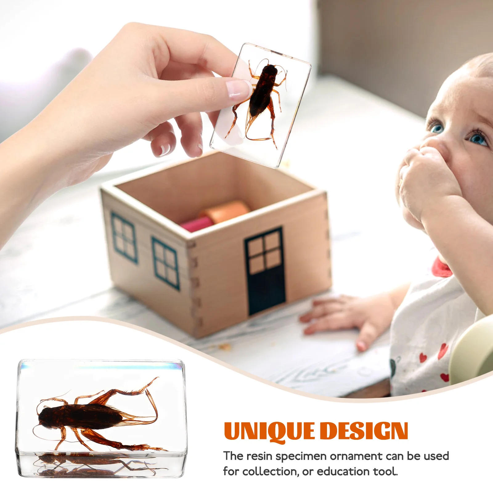 Resin Specimen Small Size Lightweight Portable Educational Collection Insect Decoration Crafts Teaching
Resin Specimen Small Size Lightweight Portable Educational Collection Insect Decoration Crafts Teaching