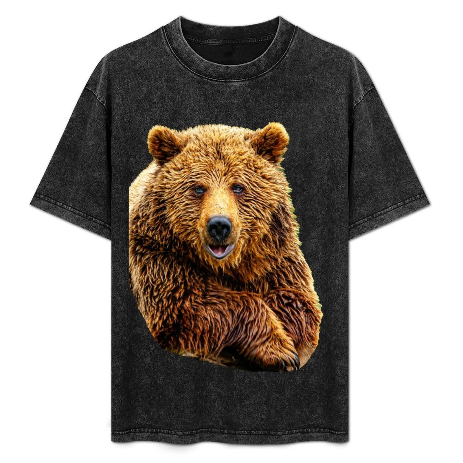 Brown Bear just Pawsing to look at the camera T-Shirt Casual All Match Short Sleeve T-Shirt
Brown Bear just Pawsing to look at the camera T-Shirt Casual All Match Short Sleeve T-Shirt