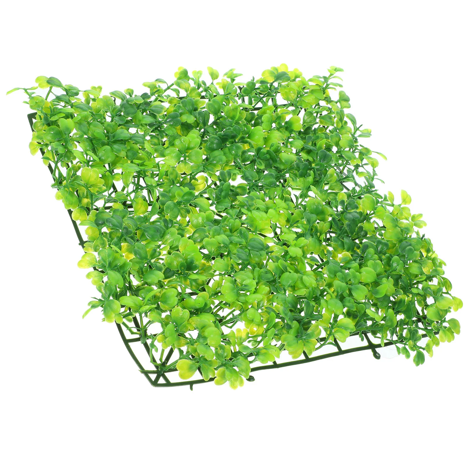 Area Rugs Fish Tank Grass Lawn Decoration Aquarium Plants Crawl for Aquariums Artificial
Area Rugs Fish Tank Grass Lawn Decoration Aquarium Plants Crawl for Aquariums Artificial