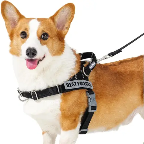 Juego de arnés y correa para perros Easy Walk, arnés Freedom sin tirar con 2 parches a prueba de escape, ajuste rápido para ajustar el arnés del chaleco para perros Ea