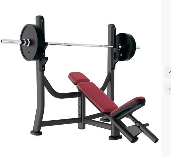 Premium Commercial-Grade Incline Bench Plate-Loaded Fitness Machine for Gym Strength Training
Premium Commercial-Grade Incline Bench Plate-Loaded Fitness Machine for Gym Strength Training