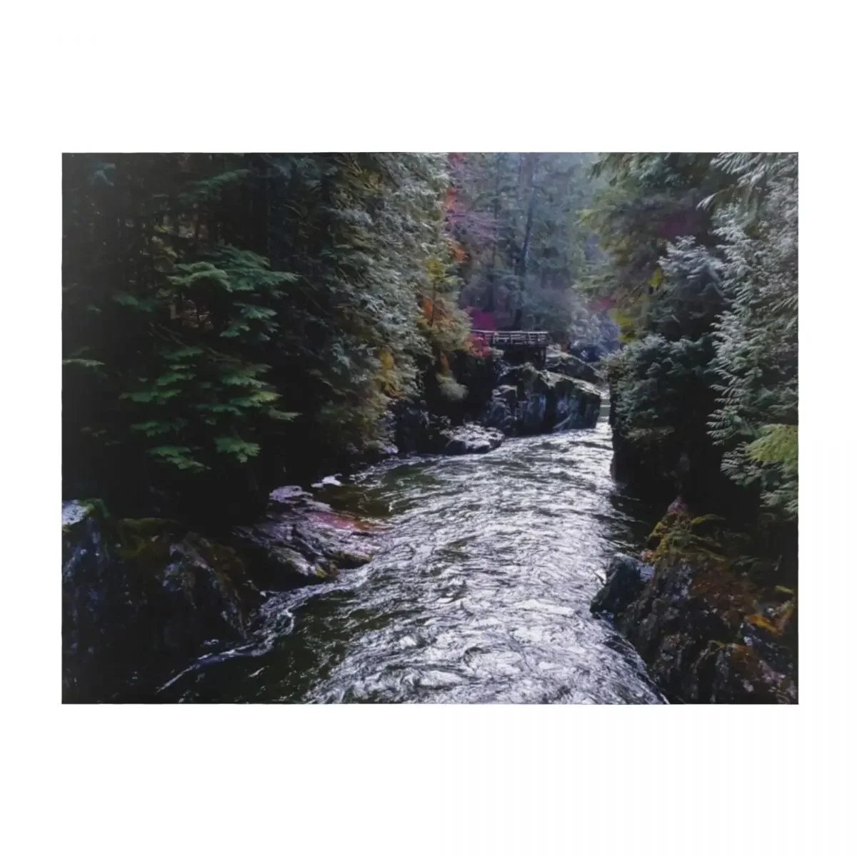 Capilano River Regional Park: Silver Ravine Throw Blanket decorative Personalized Gift Hair Sleeping Bag Blankets
Capilano River Regional Park: Silver Ravine Throw Blanket decorative Personalized Gift Hair Sleeping Bag Blankets