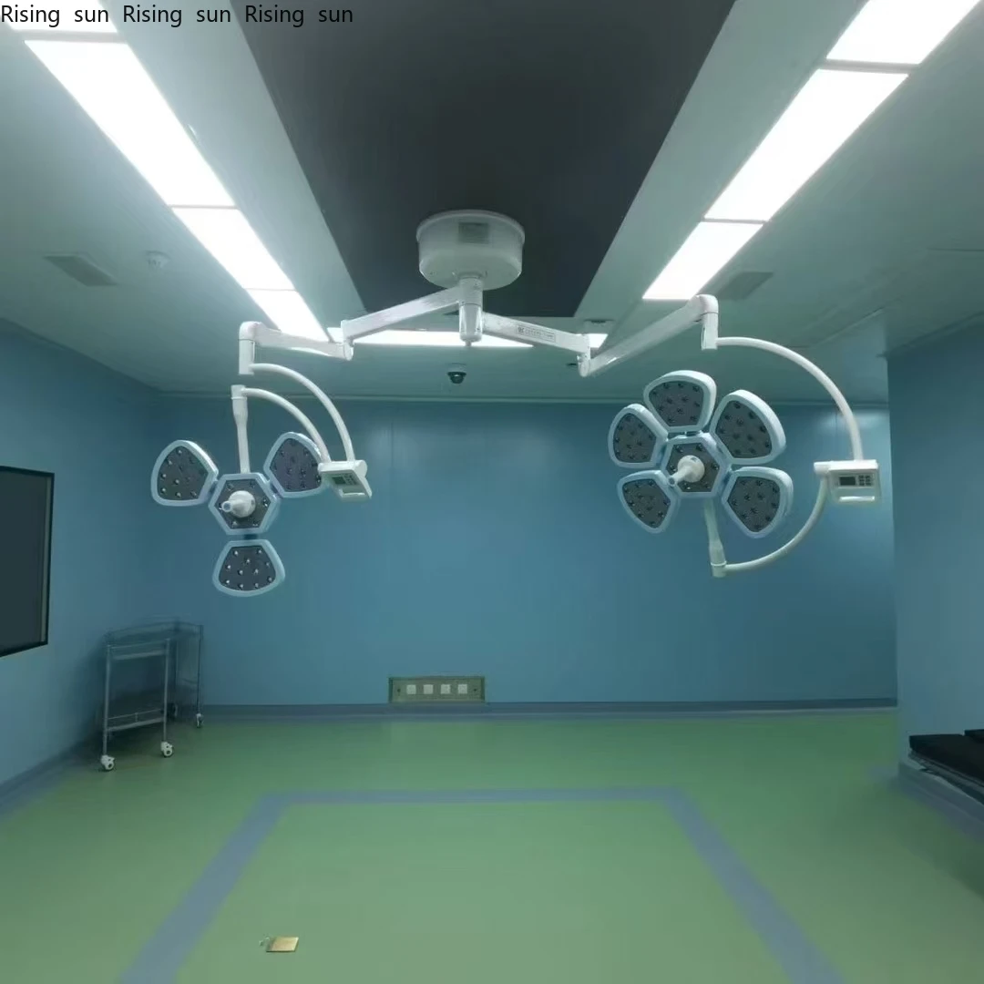 Electric Double Head OT Operating Lamp Medical Equipment LED Shadowless Theatre Lights Durable Metal Construction Plastic
Electric Double Head OT Operating Lamp Medical Equipment LED Shadowless Theatre Lights Durable Metal Construction Plastic