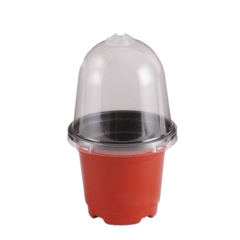 5/10/15/20Pcs Seed Pots Seed Starting Container for Indoor Outdoor Flowers
5/10/15/20Pcs Seed Pots Seed Starting Container for Indoor Outdoor Flowers