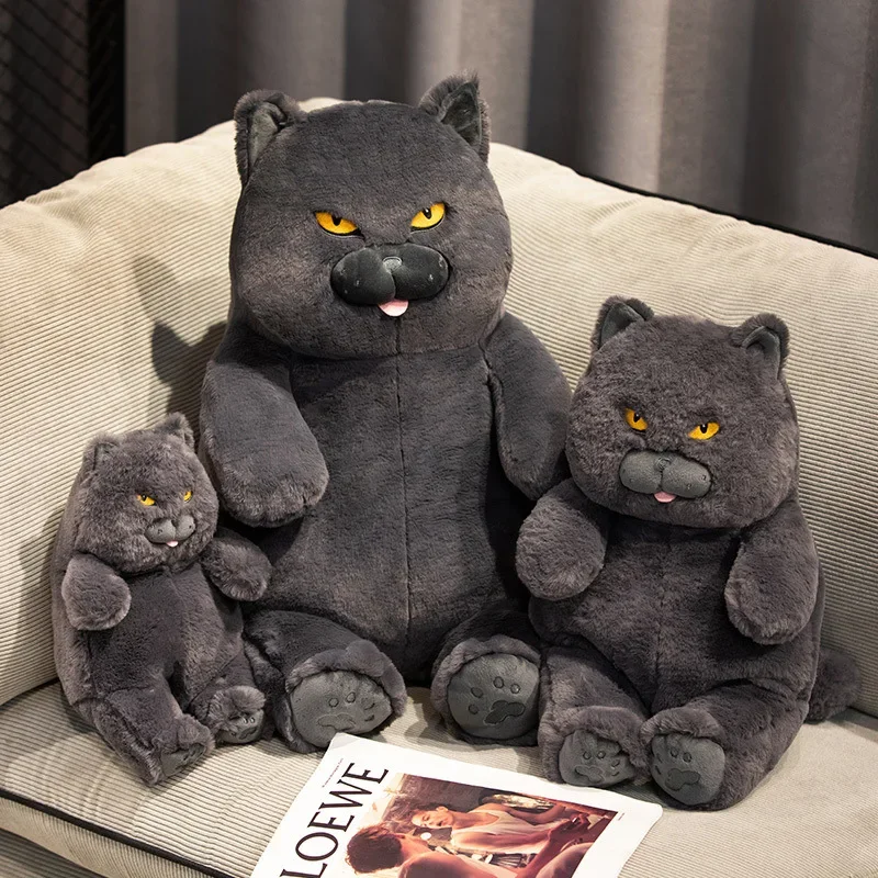 30 см, 45 см, 60 см, 80 см, мультяшная кукла-кошка, милые британские короткохвостые синие кошки, плюшевые игрушки, мягкие игрушки, детский подарок
30 см, 45 см, 60 см, 80 см, мультяшная кукла-кошка, милые британские короткохвостые синие кошки, плюшевые игрушки, мягкие игрушки, детский подарок