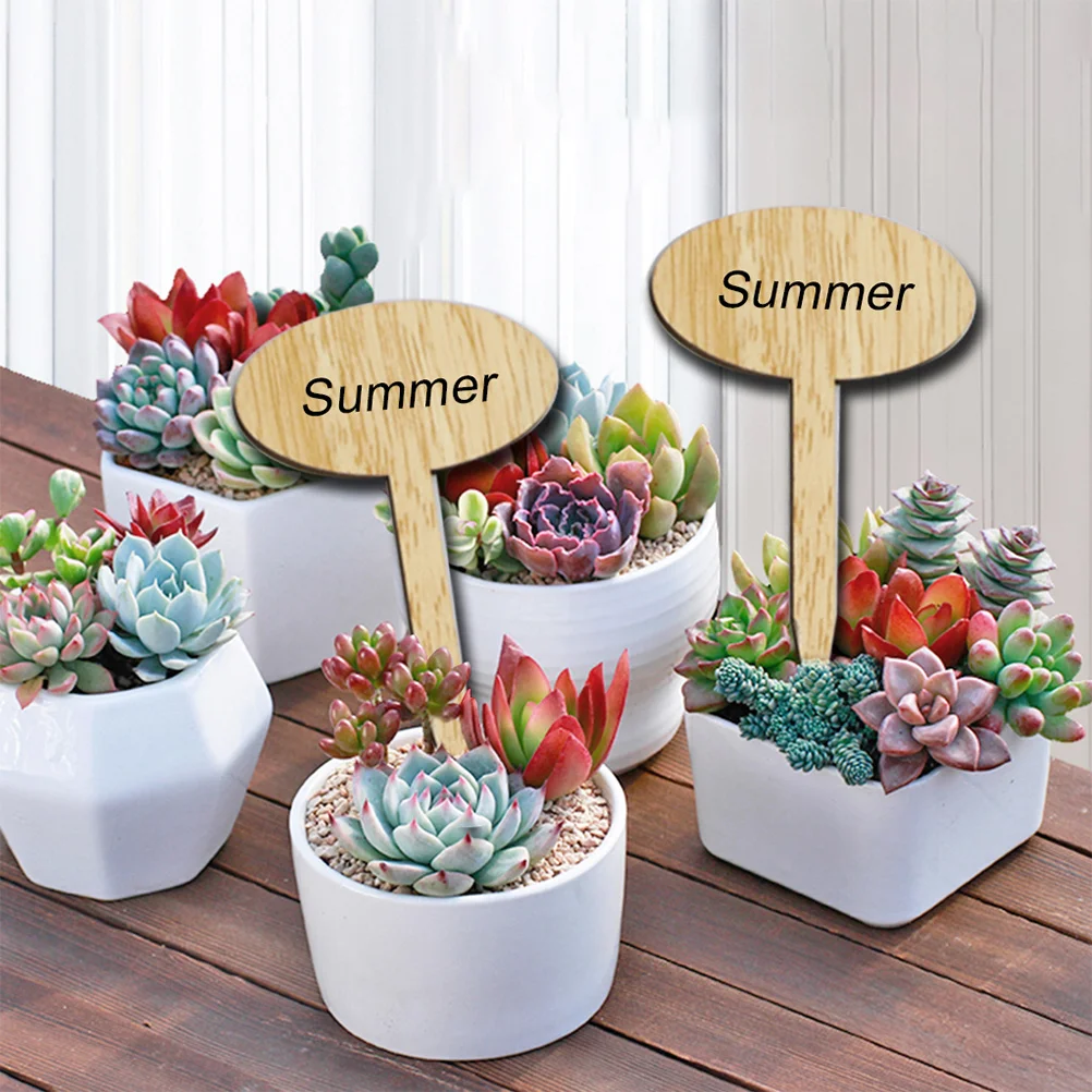 50 pcs Wooden Plant Labels Durable Reusable Garden Tags for Seedlings Potted Name Plates Small Size Lightweight Double Sided
50 pcs Wooden Plant Labels Durable Reusable Garden Tags for Seedlings Potted Name Plates Small Size Lightweight Double Sided