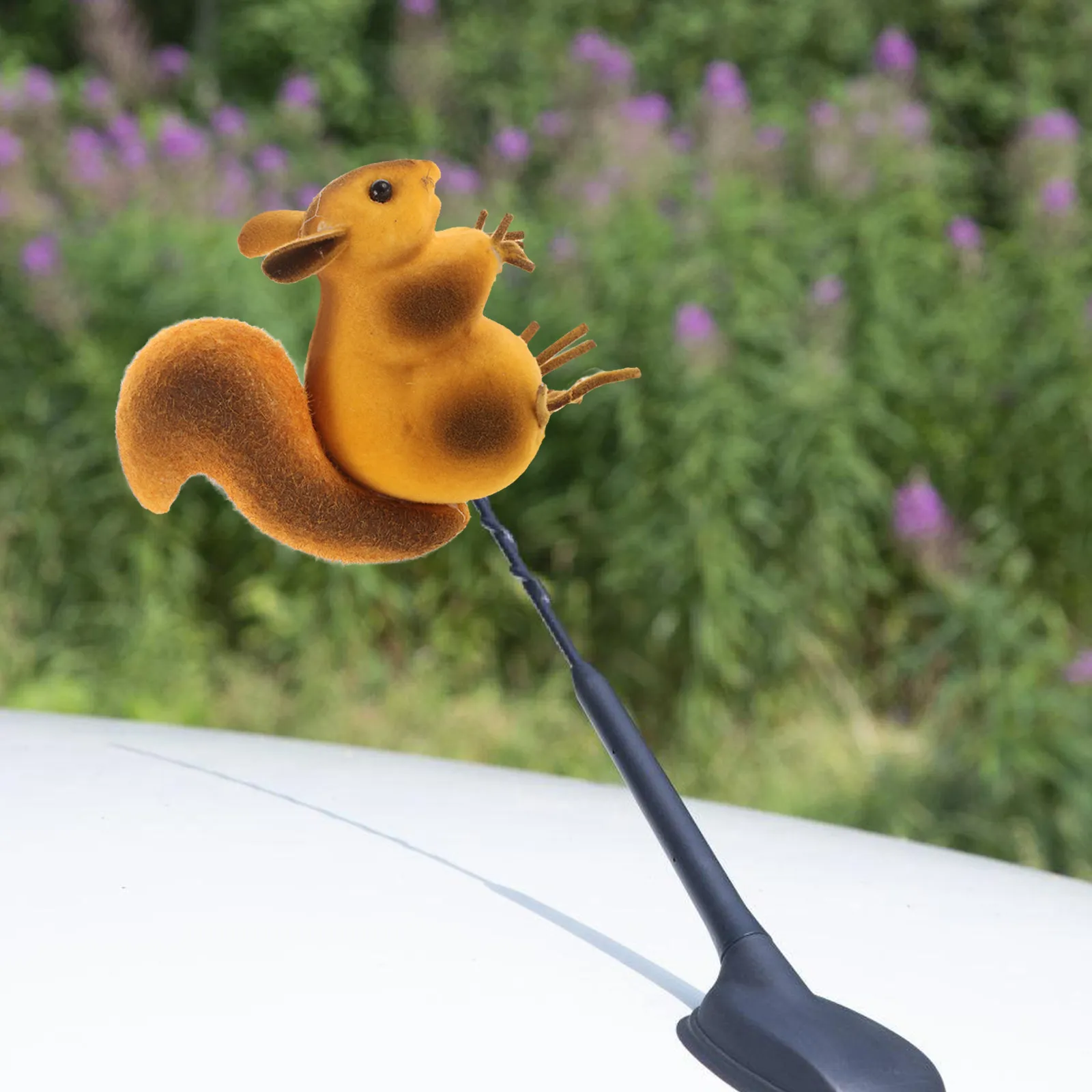 Car Roof Decoration Cute Squirrel Car Antenna Decorative Topper Plastic Exterior Ornament Vehicle Hood Ornament
Car Roof Decoration Cute Squirrel Car Antenna Decorative Topper Plastic Exterior Ornament Vehicle Hood Ornament