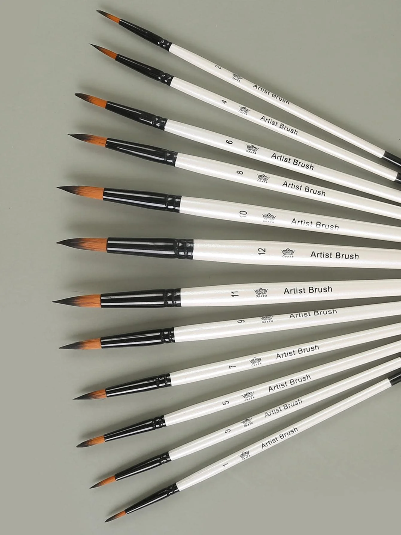 12pcs Round Head Drawing Brush Set, Simple Wood Painting Brush Set for Students. Ideal for Art Class. Back to School, School Supplies.
12pcs Round Head Drawing Brush Set, Simple Wood Painting Brush Set for Students. Ideal for Art Class. Back to School, School Supplies.