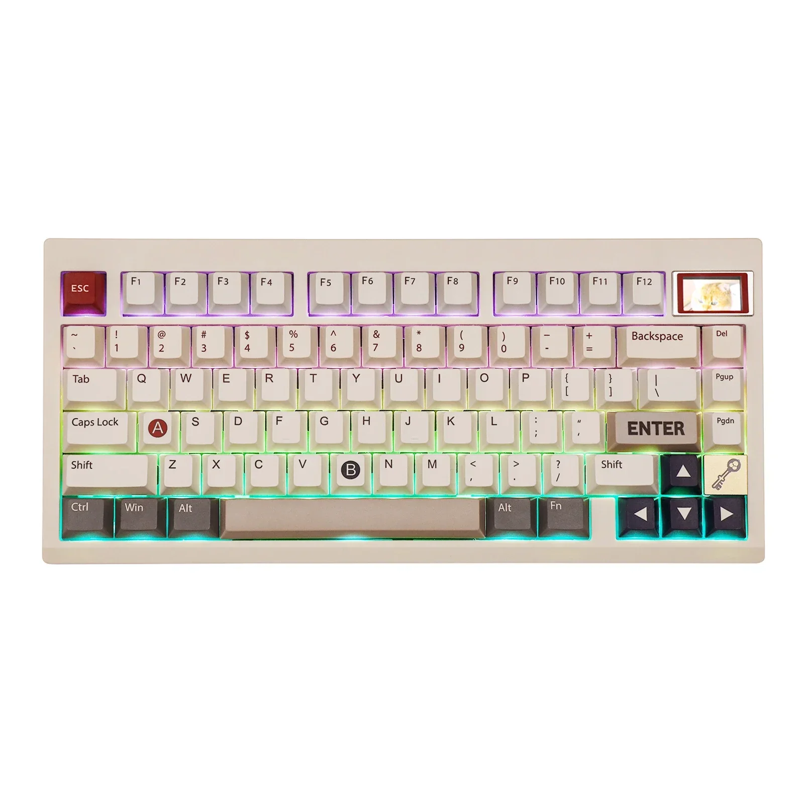 TH80 Pro V2 VIA 75% VIA Programmable Gasket-mounted Wired & Wireless Gaming Keyboard with Customizable Screen gaming keyboard
TH80 Pro V2 VIA 75% VIA Programmable Gasket-mounted Wired & Wireless Gaming Keyboard with Customizable Screen gaming keyboard