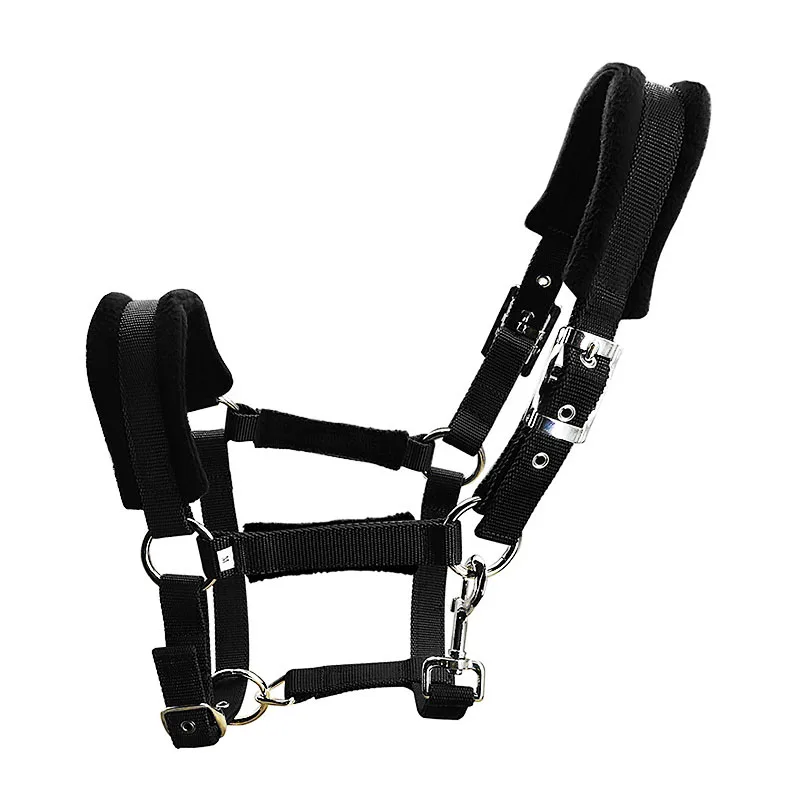 Equestrian Eight-Foot Long Horse Bridle Textile Cage Leading Harness for Horses 1
Equestrian Eight-Foot Long Horse Bridle Textile Cage Leading Harness for Horses 1