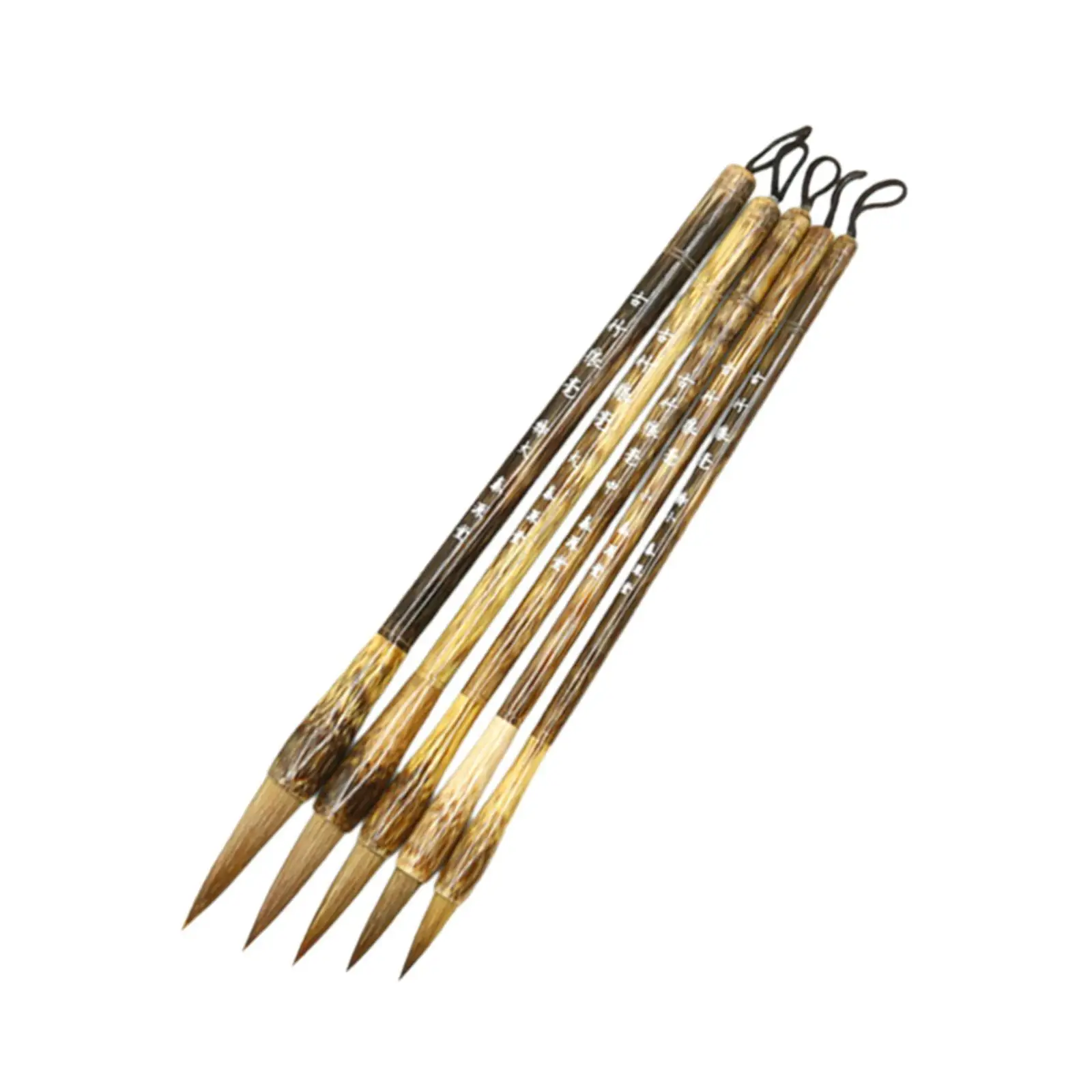 5x Chinese Brushes Set Drawing Art Crafts Professional Practice
5x Chinese Brushes Set Drawing Art Crafts Professional Practice