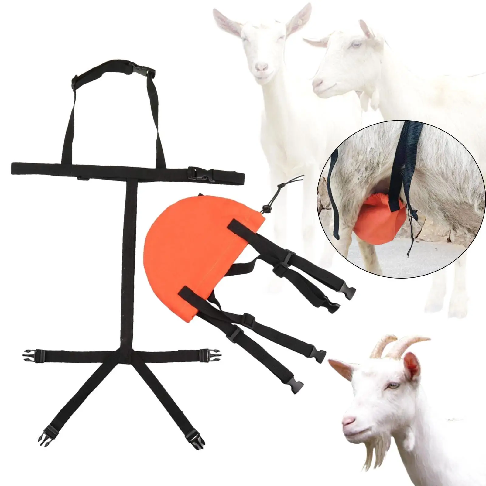 Сумка для плетения коз, бюстгальтер для козла, нагрудный ремень, защитная пряжка, дизайн, фермерский ремень, аксессуары для овец и коз, поддержка груди, фартук для козла
Сумка для плетения коз, бюстгальтер для козла, нагрудный ремень, защитная пряжка, дизайн, фермерский ремень, аксессуары для овец и коз, поддержка груди, фартук для козла