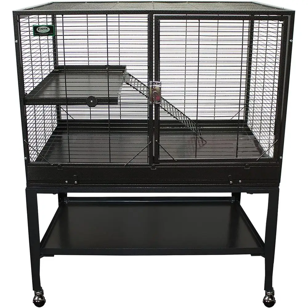 Sturdy Metal Two-Level Habitat for Chinchillas, Rats, Ferrets, and Degus
Sturdy Metal Two-Level Habitat for Chinchillas, Rats, Ferrets, and Degus