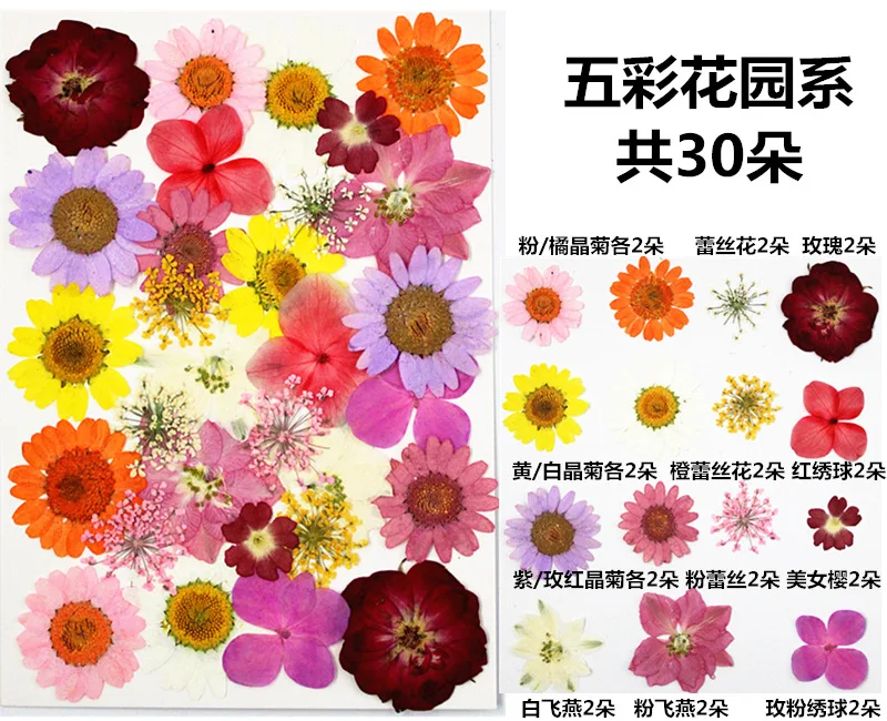 35Pcs Mixed Embossed Dried Flower Set, Real Flowers and Leaves for DIY Crafts, Bookmarks, Phone Cases, Photo Stickers, and Real Flowers for Face Makeup
35Pcs Mixed Embossed Dried Flower Set, Real Flowers and Leaves for DIY Crafts, Bookmarks, Phone Cases, Photo Stickers, and Real Flowers for Face Makeup