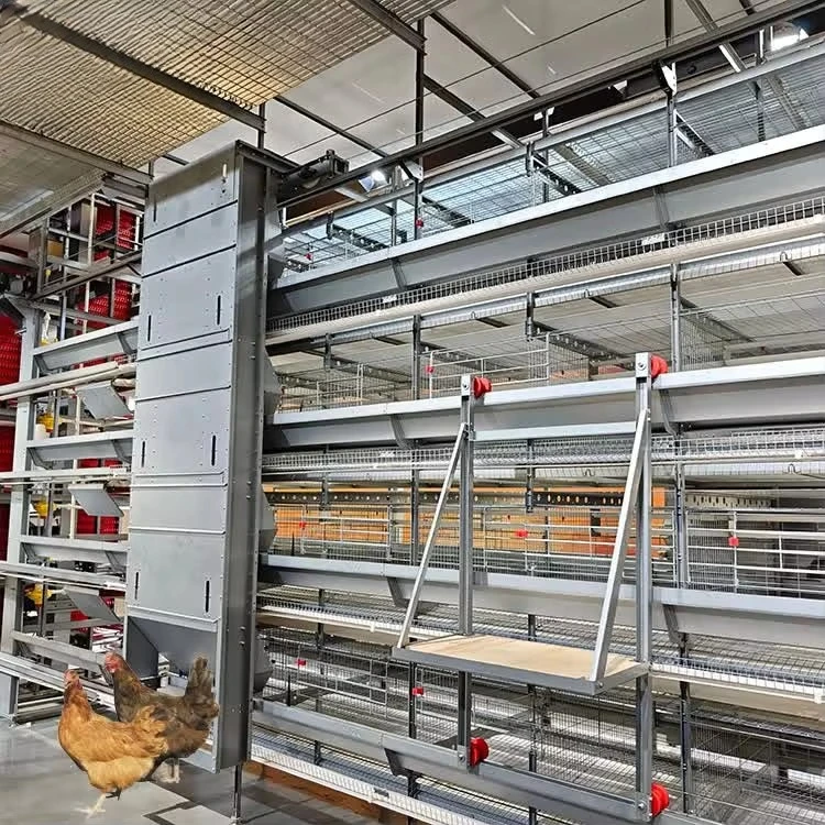 for-H Type Layer Cage System for Poultry, Automatic Chicken Cage for Egg Laying Hens With High-rise Design*
for-H Type Layer Cage System for Poultry, Automatic Chicken Cage for Egg Laying Hens With High-rise Design*