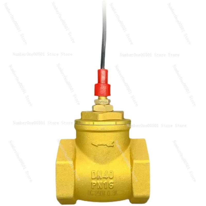 Full Copper High Flow Check Valve with Paddle Type Water Flow Sensor Switch for Heat Pump Systems -095
Full Copper High Flow Check Valve with Paddle Type Water Flow Sensor Switch for Heat Pump Systems -095