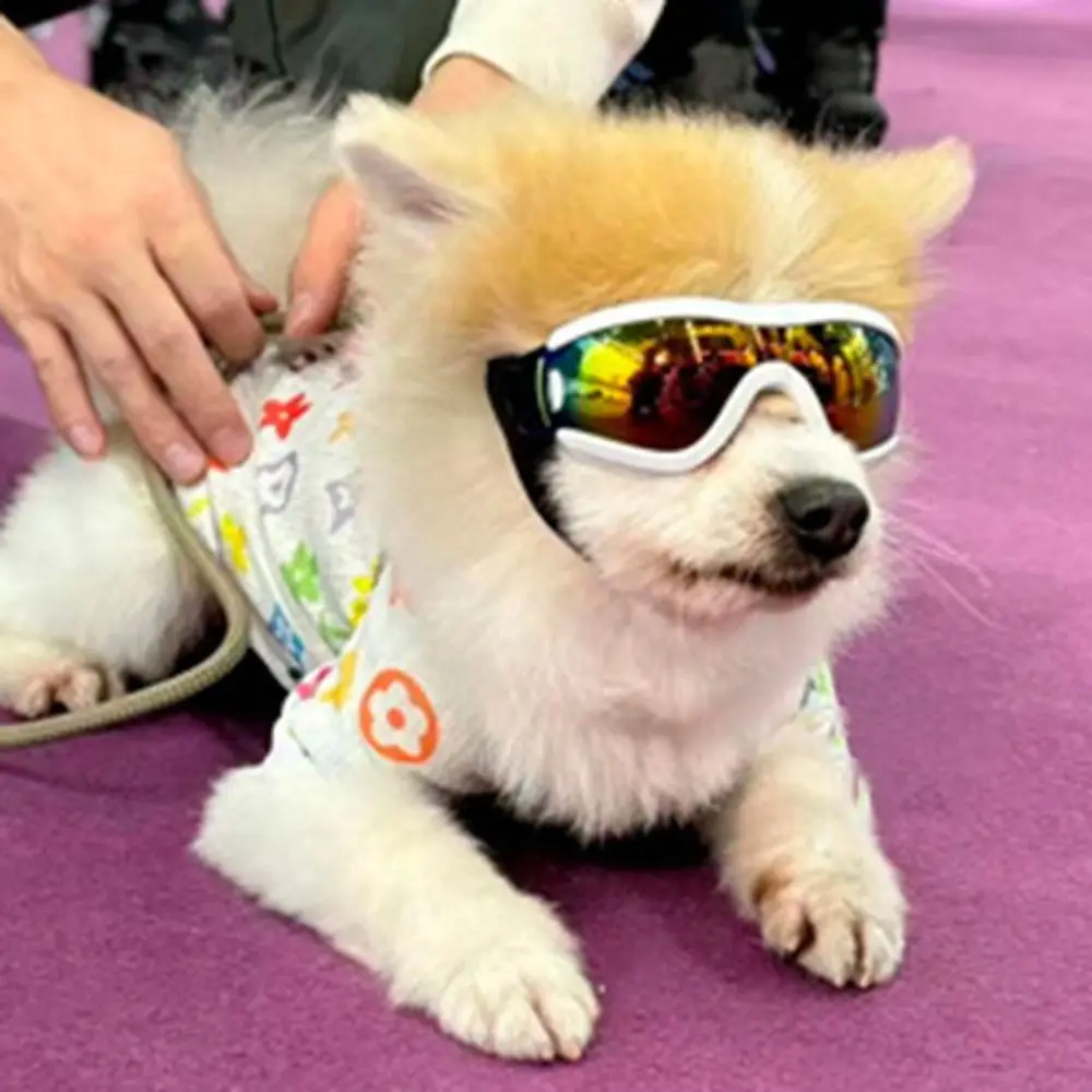 Dog Accessories Adjustable Strap Dog Goggles Windproof UV Resistant Dog Sunglasses Anti-Fog Waterproof Pet Glasses Sports
Dog Accessories Adjustable Strap Dog Goggles Windproof UV Resistant Dog Sunglasses Anti-Fog Waterproof Pet Glasses Sports