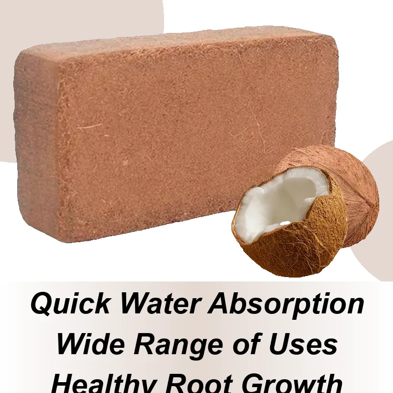 Organic Coir For Plants Coco Peat Potting Flower Supplies For Landscaping Vegetables Indoor Outdoor Gardening Starting Planting
Organic Coir For Plants Coco Peat Potting Flower Supplies For Landscaping Vegetables Indoor Outdoor Gardening Starting Planting