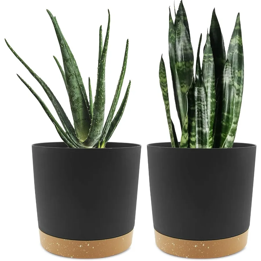 8 inch Plant Pot 2 Pack Planters for Indoor Plants with Drainage Holes Saucer Outdoor Flower Pots Home Garden Modern Dr
8 inch Plant Pot 2 Pack Planters for Indoor Plants with Drainage Holes Saucer Outdoor Flower Pots Home Garden Modern Dr