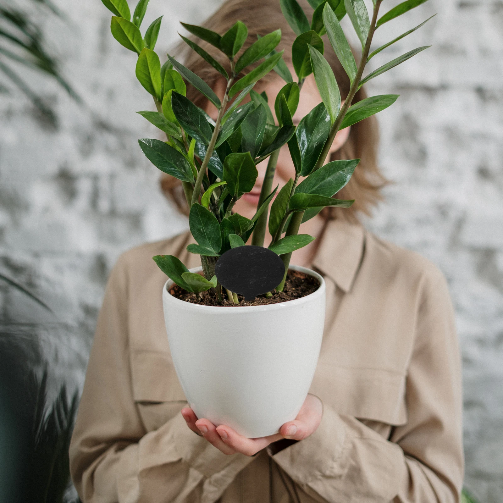 Cake Decoration Combination Cheese Toppers Signs Board Labels Markers Food Black Picks Signs Inserts Picks Chalkboard Pegs
Cake Decoration Combination Cheese Toppers Signs Board Labels Markers Food Black Picks Signs Inserts Picks Chalkboard Pegs
