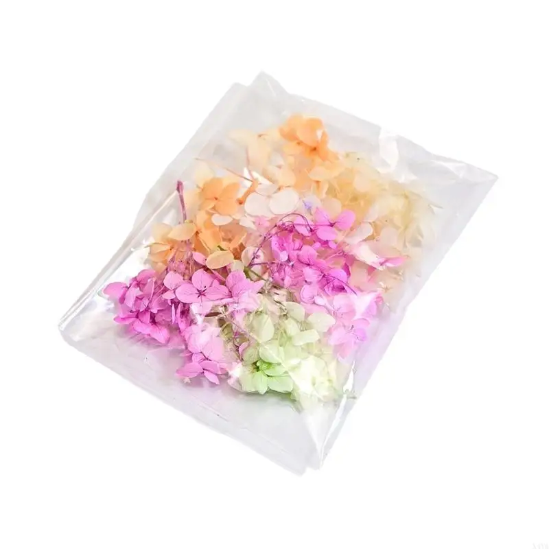 X4YA Handcrafted Resin Preserved Gypsophila and Hydrangea Arrangement Gift
X4YA Handcrafted Resin Preserved Gypsophila and Hydrangea Arrangement Gift