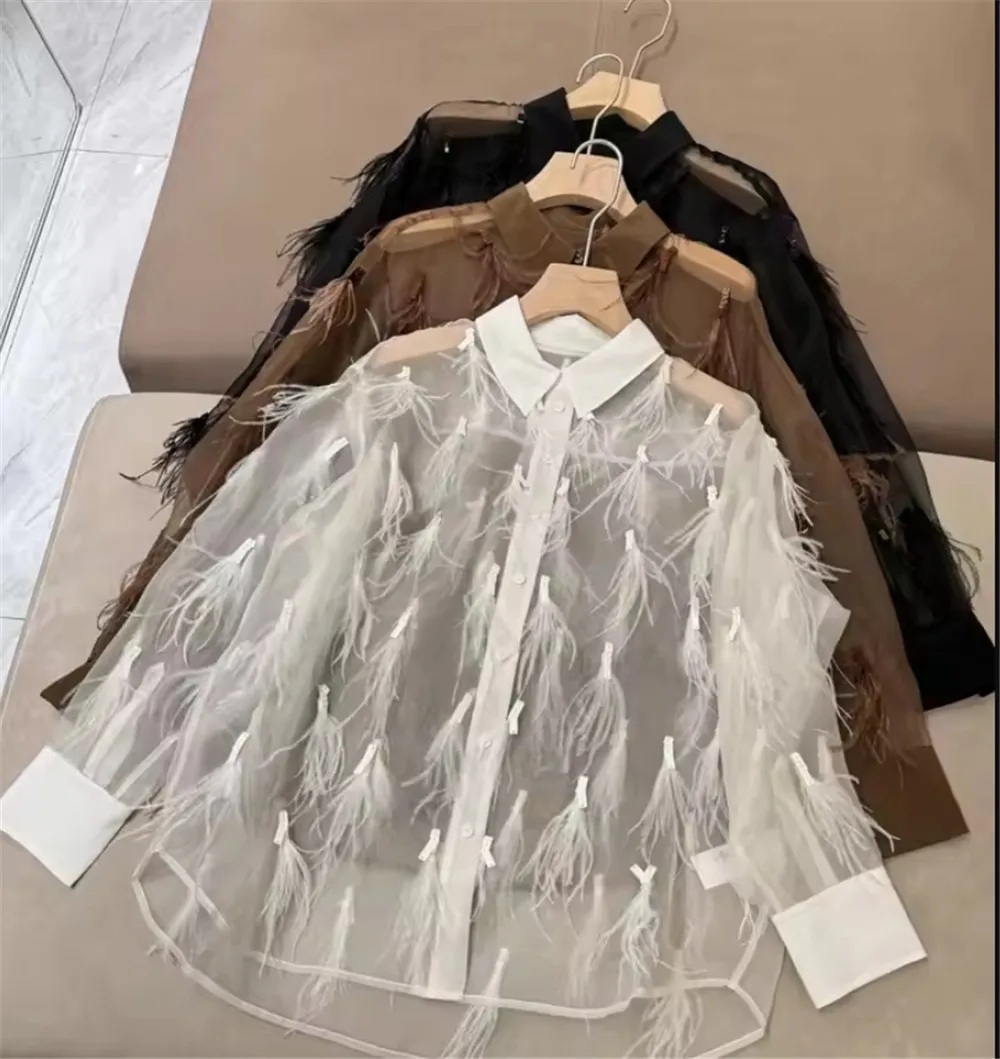 2025 Summer New Product Feather Long Sleeve Versatile Collar Silk Shirt Top for Women
2025 Summer New Product Feather Long Sleeve Versatile Collar Silk Shirt Top for Women