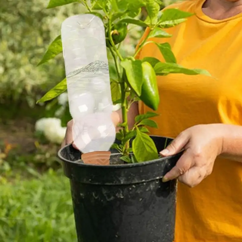 Plant Self-Watering Spikes Terracotta Automatic Plant Waterer For Wine Bottle Watering Spikes Plant Watering Devices For Potted
Plant Self-Watering Spikes Terracotta Automatic Plant Waterer For Wine Bottle Watering Spikes Plant Watering Devices For Potted