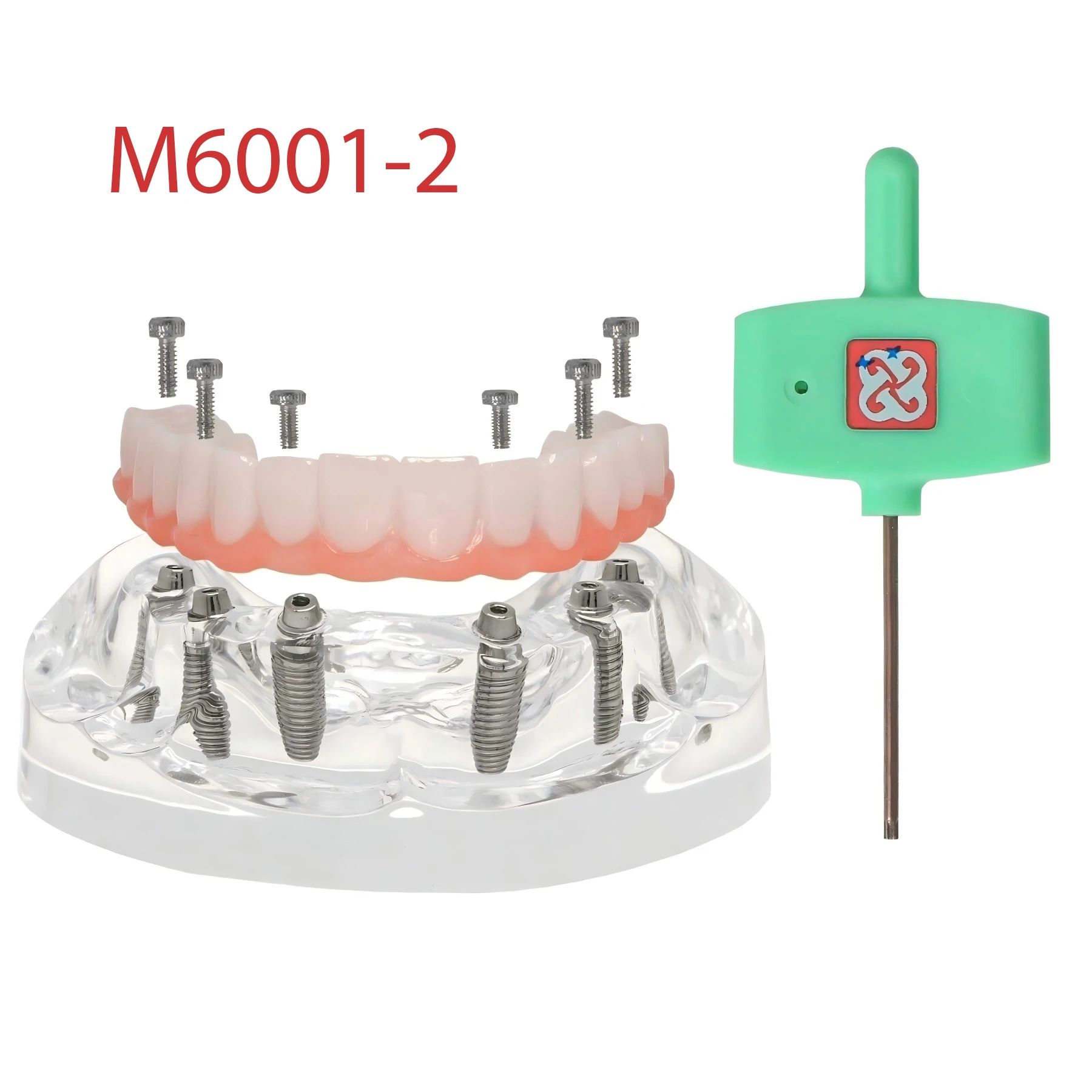 Dental Restoration Implant Teeth Model With 6 Screws Upper Jaw Post Core Bridges M6001-2
Dental Restoration Implant Teeth Model With 6 Screws Upper Jaw Post Core Bridges M6001-2