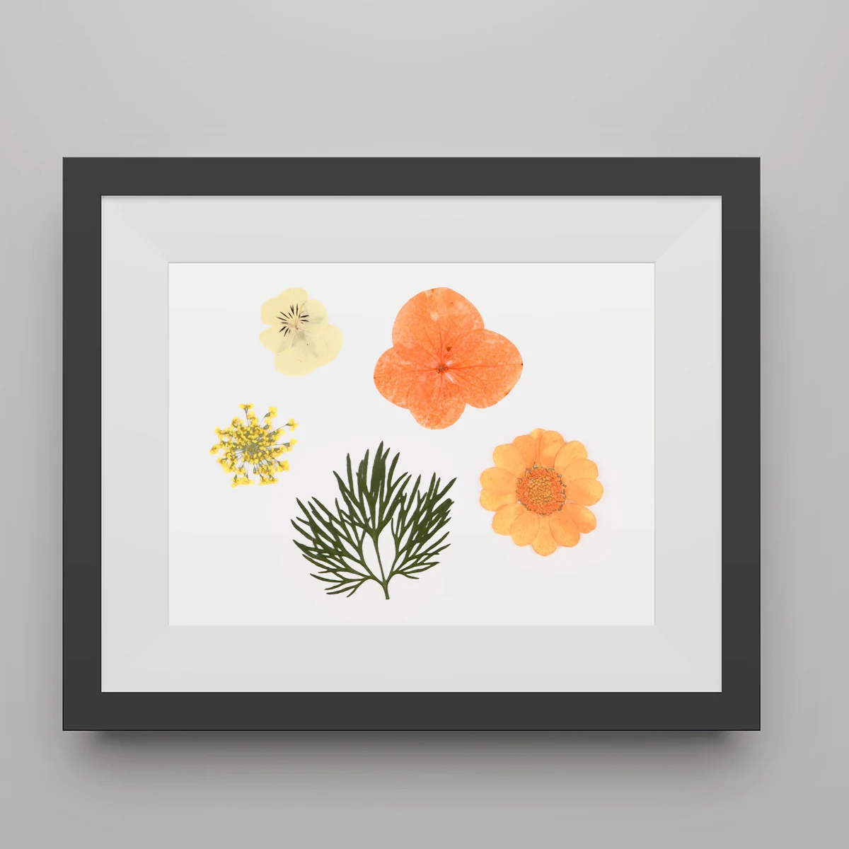 40 pcs Pressed Flower Material Bag Colorfast Real Dried Flowers For Diy Crafts Decor Wedding Party Home Office Mobile Case Art 
40 pcs Pressed Flower Material Bag Colorfast Real Dried Flowers For Diy Crafts Decor Wedding Party Home Office Mobile Case Art