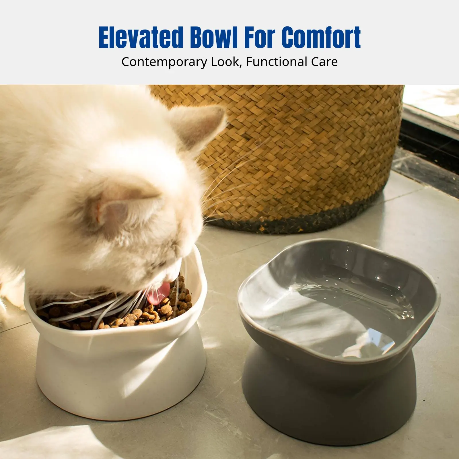 Double-Sided Tilted Pet Food Water Bowl, Raised Stand, Neck Protection, Anti-Spill for Dogs Cats
Double-Sided Tilted Pet Food Water Bowl, Raised Stand, Neck Protection, Anti-Spill for Dogs Cats