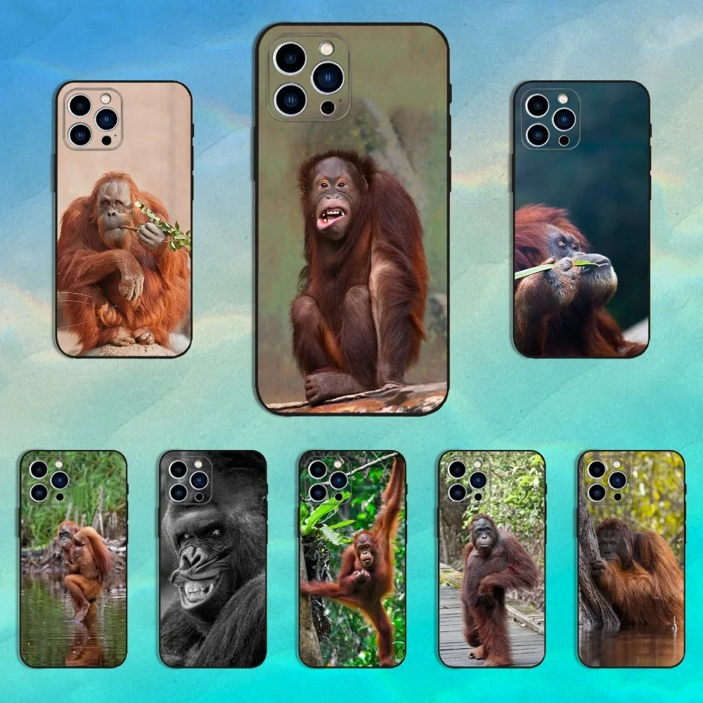 Red Baboon Funny Phone Case For iPhone 16,15,14,13,12,11 Plus,Pro Max,XS,X,XR,SE,Mini,8,7,Soft Silicone Black Cover
Red Baboon Funny Phone Case For iPhone 16,15,14,13,12,11 Plus,Pro Max,XS,X,XR,SE,Mini,8,7,Soft Silicone Black Cover