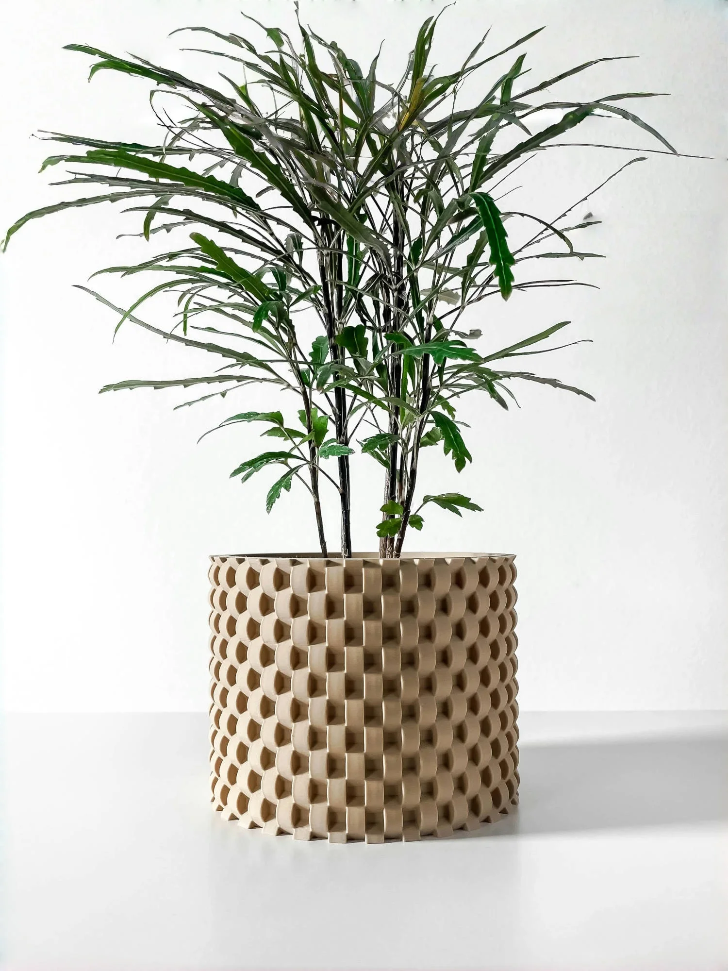 Modern Minimalist 3D Printed Plant Pot – Biodegradable Flower Planter for Home Decor, Eco-Friendly Sustainable Gift (Cheo)
Modern Minimalist 3D Printed Plant Pot – Biodegradable Flower Planter for Home Decor, Eco-Friendly Sustainable Gift (Cheo)