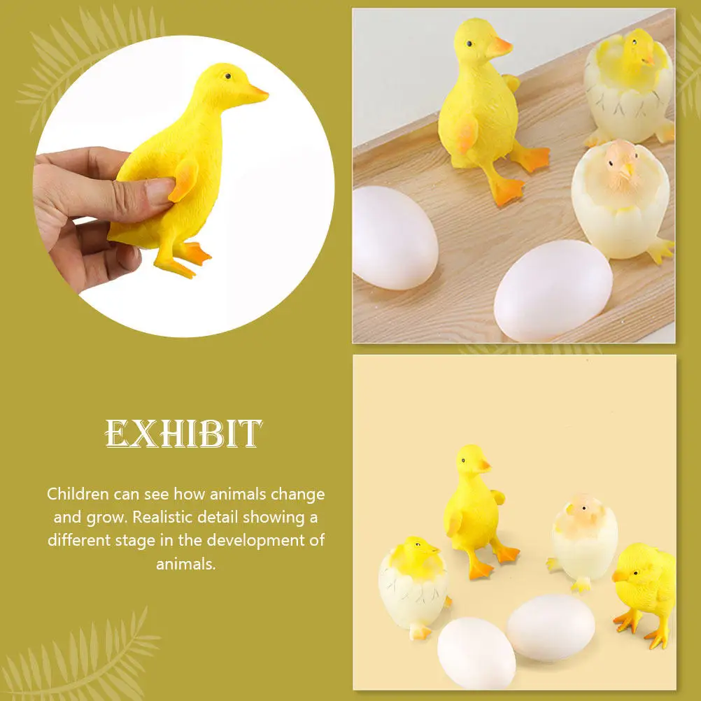 1Set Realistic Chicks Ducks Life Cycle Growth Models Kids Early Learning Cognitive Educational Play Set Animals Development
1Set Realistic Chicks Ducks Life Cycle Growth Models Kids Early Learning Cognitive Educational Play Set Animals Development
