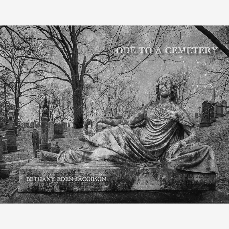 Ode To A Cemetery Bethany Jacobson Cole Swensen Art Presson Hirmer 9783777443645 Book
Ode To A Cemetery Bethany Jacobson Cole Swensen Art Presson Hirmer 9783777443645 Book