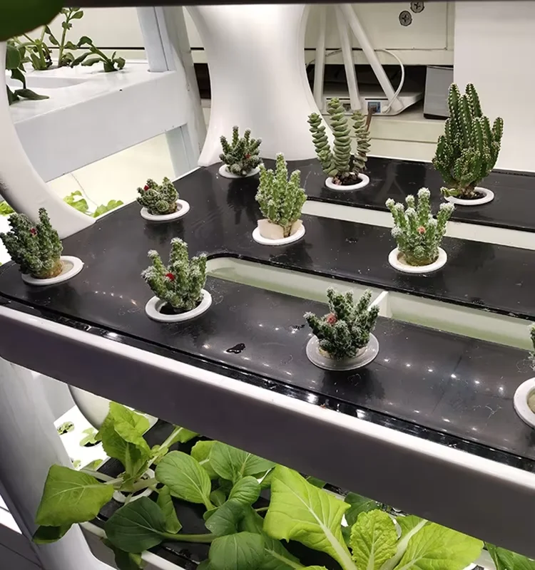 Advanced vertical farming hydroponic vegetable planting home smart indoor garden planter
Advanced vertical farming hydroponic vegetable planting home smart indoor garden planter