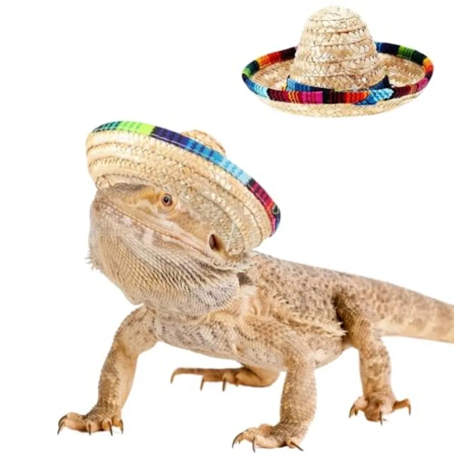 2 Pack Bearded Dragon Sombrero Hats - Lizard Cinco De Mayo Straw Hat with Adjustable Chin Strap Small Pet Mexican Costume Acces
2 Pack Bearded Dragon Sombrero Hats - Lizard Cinco De Mayo Straw Hat with Adjustable Chin Strap Small Pet Mexican Costume Acces