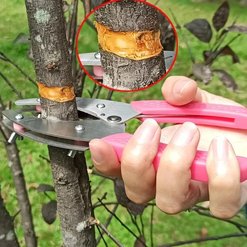 Grafting Cutting Tool Shears For Garden Ring Shape Grafting Cutter Fruit Tree Peeler Bark Stripping Cutting Stainless Steel Gard
Grafting Cutting Tool Shears For Garden Ring Shape Grafting Cutter Fruit Tree Peeler Bark Stripping Cutting Stainless Steel Gard