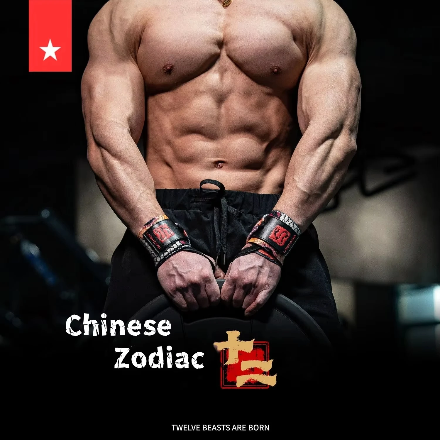 Chinese Zodiac Fitness Wristbands Weightlifting Wrist Strap Booster Belt Pressurized Sports Protection Bench Press Wrist Guard
Chinese Zodiac Fitness Wristbands Weightlifting Wrist Strap Booster Belt Pressurized Sports Protection Bench Press Wrist Guard