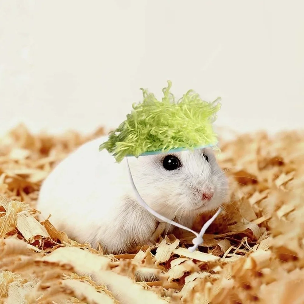 Cute Knitted Hamster Hat Handmade Wool Crochet Hand-knitted Pet Hat Adjustable Strap Decorative Mini Hamster Wool Hat
Cute Knitted Hamster Hat Handmade Wool Crochet Hand-knitted Pet Hat Adjustable Strap Decorative Mini Hamster Wool Hat
