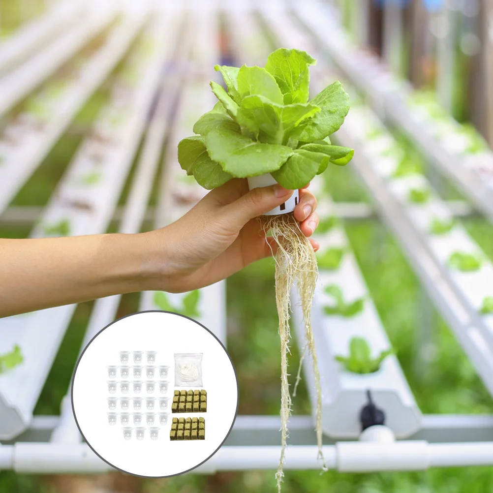 1Set Hydroponic Planting Plug Set Soilless Growth Cubes Cubic Shape Suitable for Indoor Garden Vegetable Flower Seedlings
1Set Hydroponic Planting Plug Set Soilless Growth Cubes Cubic Shape Suitable for Indoor Garden Vegetable Flower Seedlings