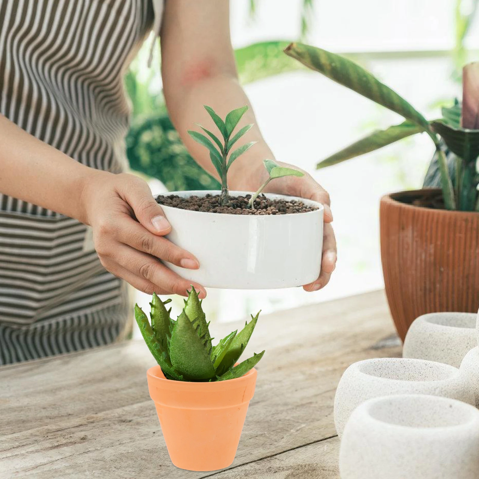 12 Pcs Succulent Pot Clay Mini Flower Pots for Crafts with Drainage Hole Plants Cactus Ceramic Garden Basin Bulk
12 Pcs Succulent Pot Clay Mini Flower Pots for Crafts with Drainage Hole Plants Cactus Ceramic Garden Basin Bulk