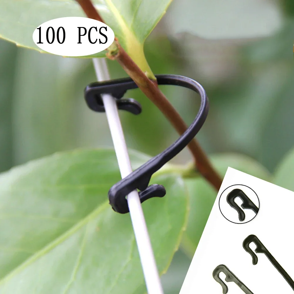 100 PCS Vines Fastener Tied Buckle Hook Plant Vegetable Support Care Grafting Clips Agricultural Greenhouse Garden Supplies
100 PCS Vines Fastener Tied Buckle Hook Plant Vegetable Support Care Grafting Clips Agricultural Greenhouse Garden Supplies