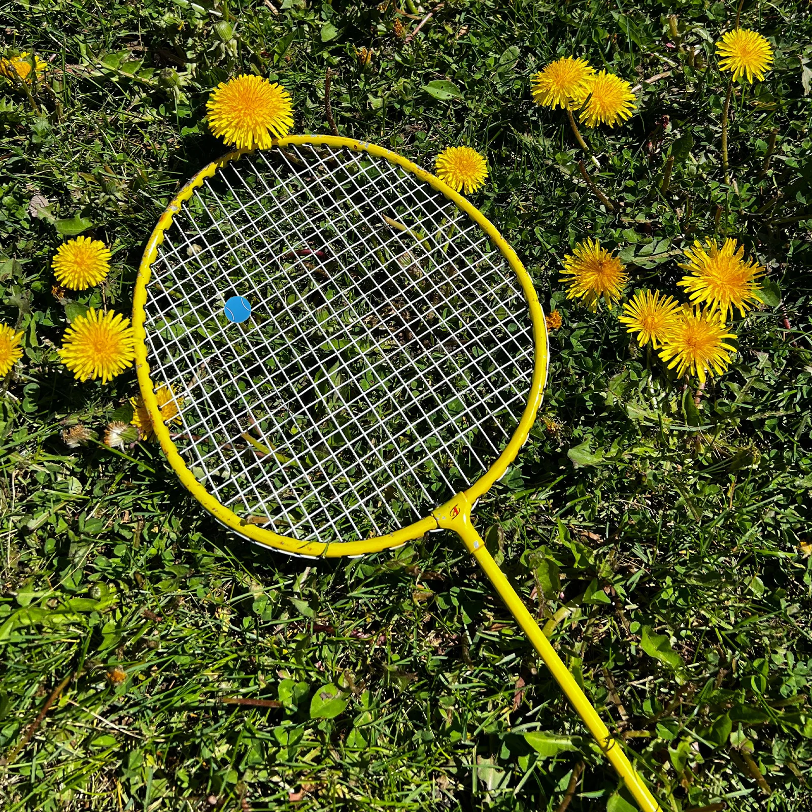 6Pcs Tennis Racket Vibration Dampeners Silicone Shock Absorbers for Tennis Racquet Vibration Reduction Training Competition