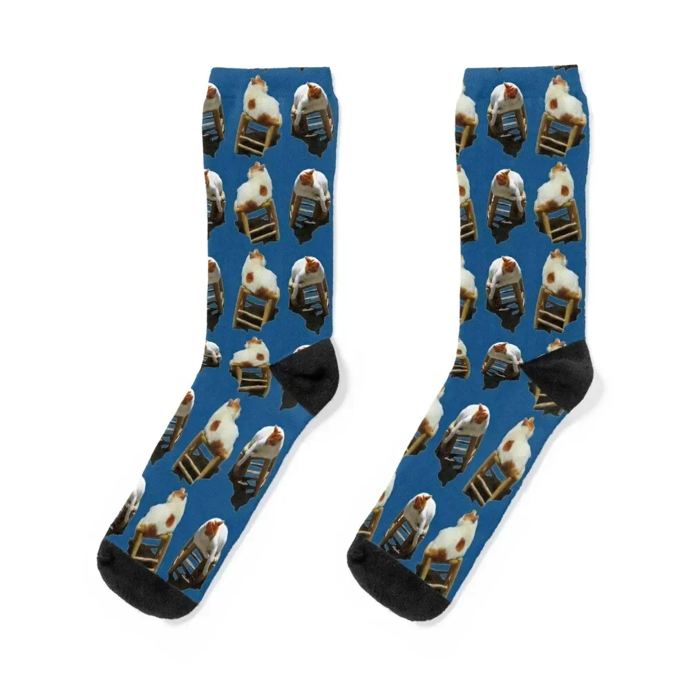 Les chats sur bleu Socks Hiking boots winter gifts short professional running Male Socks Women's
Les chats sur bleu Socks Hiking boots winter gifts short professional running Male Socks Women's