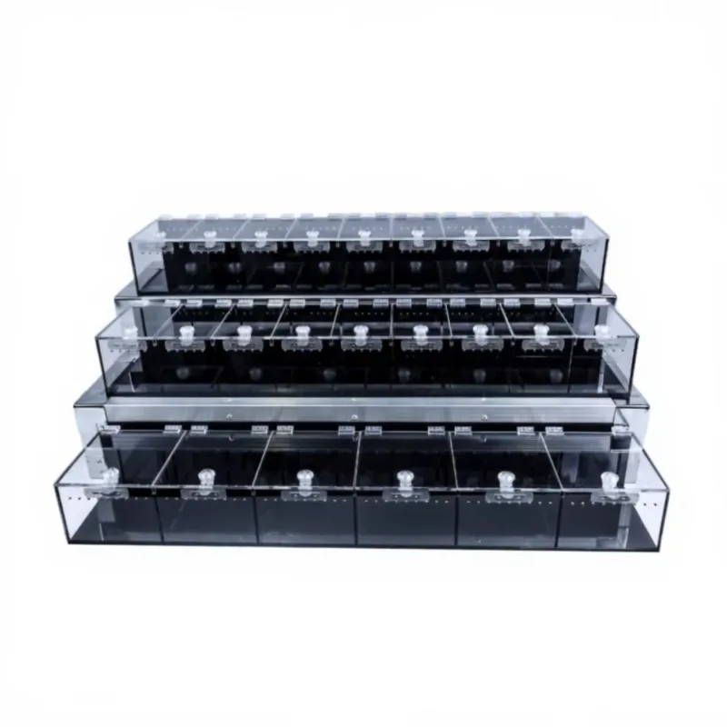 Professional Luxury Acrylic Quadrate 3-Tier Terrarium Display System Customizable Pet Cages Snap Button Print Pattern Expo
Professional Luxury Acrylic Quadrate 3-Tier Terrarium Display System Customizable Pet Cages Snap Button Print Pattern Expo