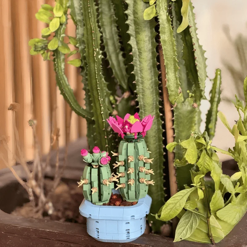 2026New Creative Bouquet Flowers Cactus Model Building Blocks Home Decor Birthday Gift Toys Gifts Ornament
2026New Creative Bouquet Flowers Cactus Model Building Blocks Home Decor Birthday Gift Toys Gifts Ornament