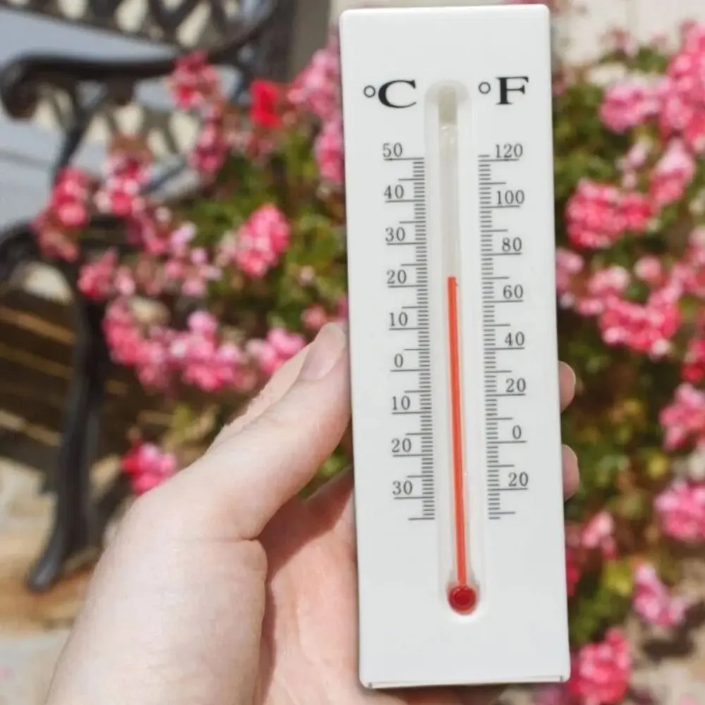 Plastic Hidden Thermometer Container Thermometer Decorate White Diversion Compartment Storage Compartment Hide Container Outdoor
Plastic Hidden Thermometer Container Thermometer Decorate White Diversion Compartment Storage Compartment Hide Container Outdoor